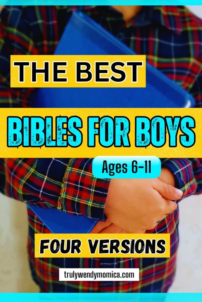 The Best Bibles For Boys 6-11