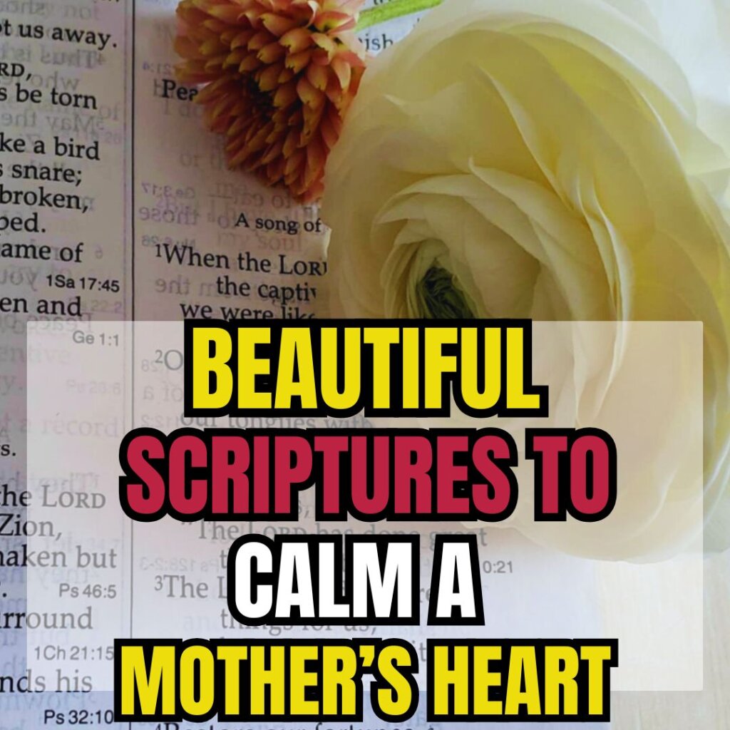 Beautiful Scriptures